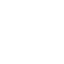 Social Media Management