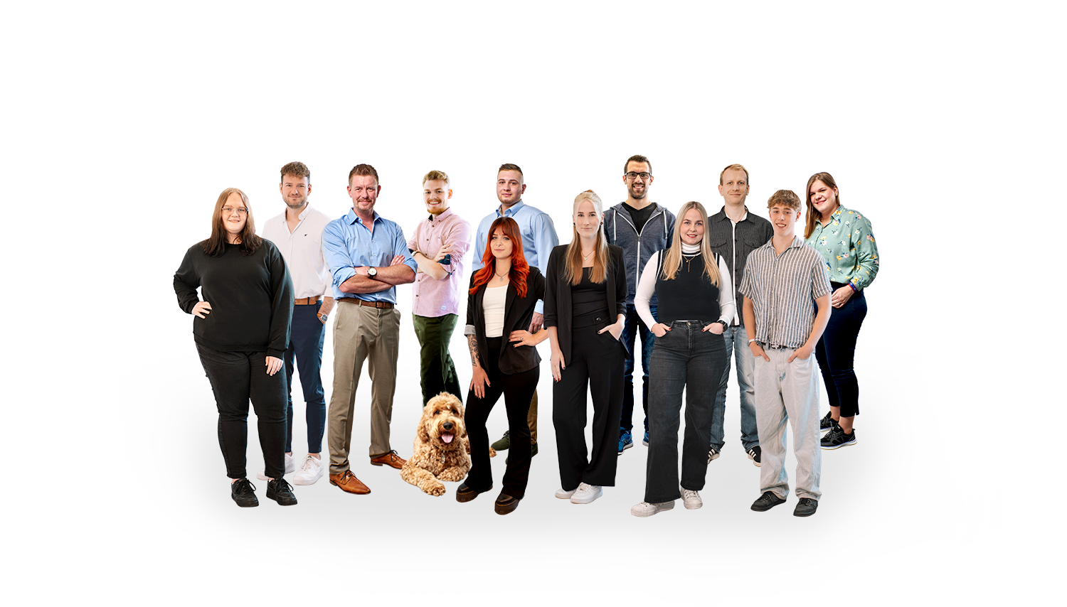 team bandf